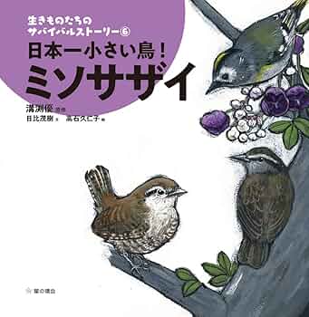 【中古】 鳥になりたい/草土文化 中古】 鳥になりたい/草土文化